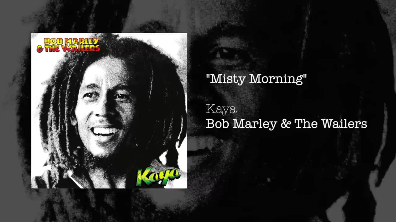 Bob Marley & The Wailers - Misty Morning (1978)