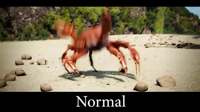 15 Crab Rave Sound Variations in 60 Seconds_Cut