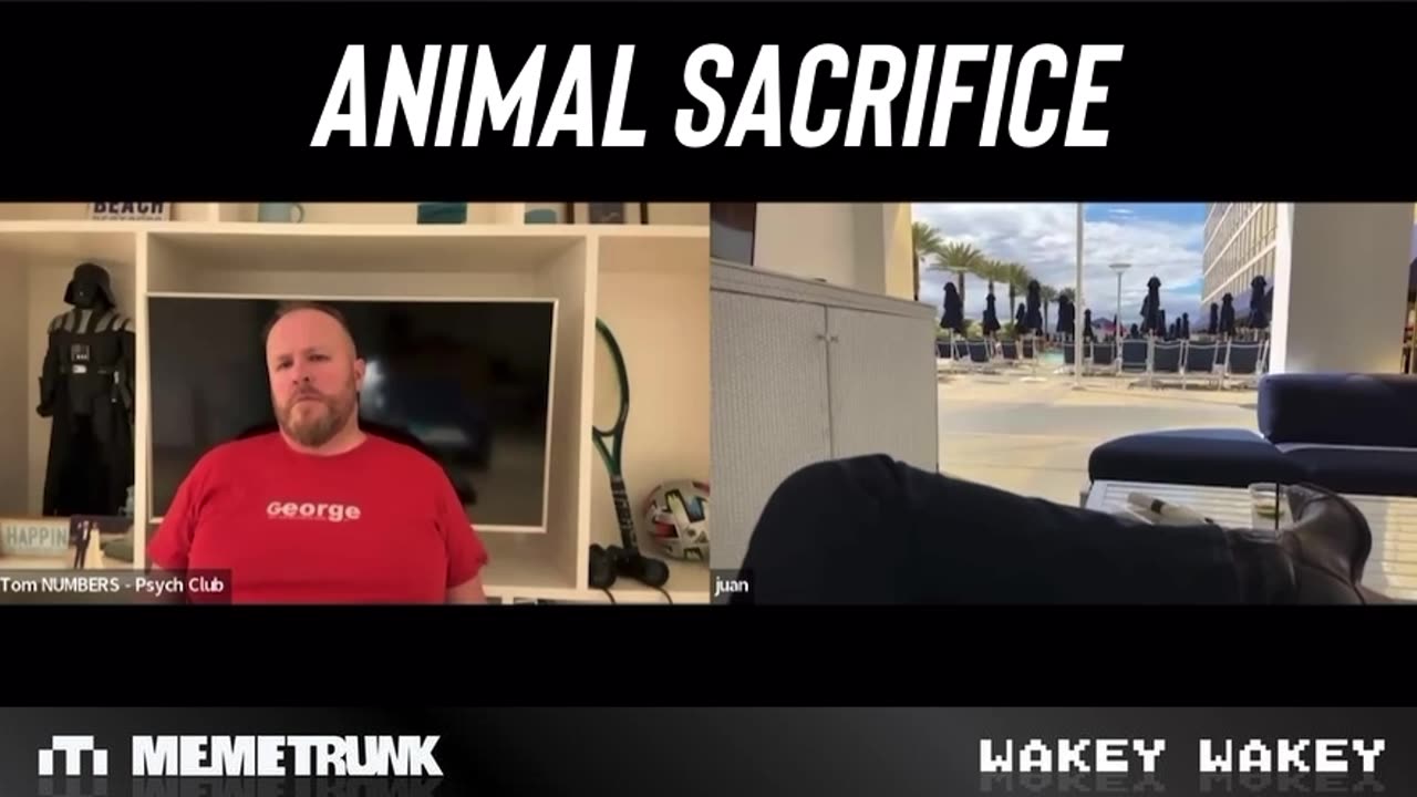 Animal Sacrifice