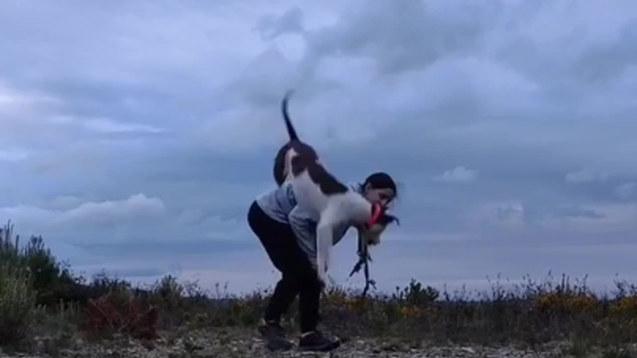 Girl Performs Tricks With Dog On Walk