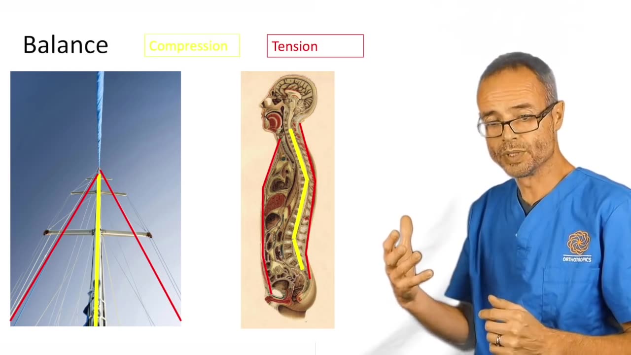 The Abs Walk: How Body Posture Affects the Face | Exercise