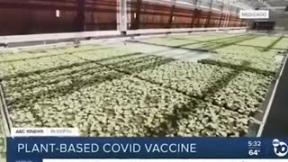They are making plant based Covid "vaccines"
