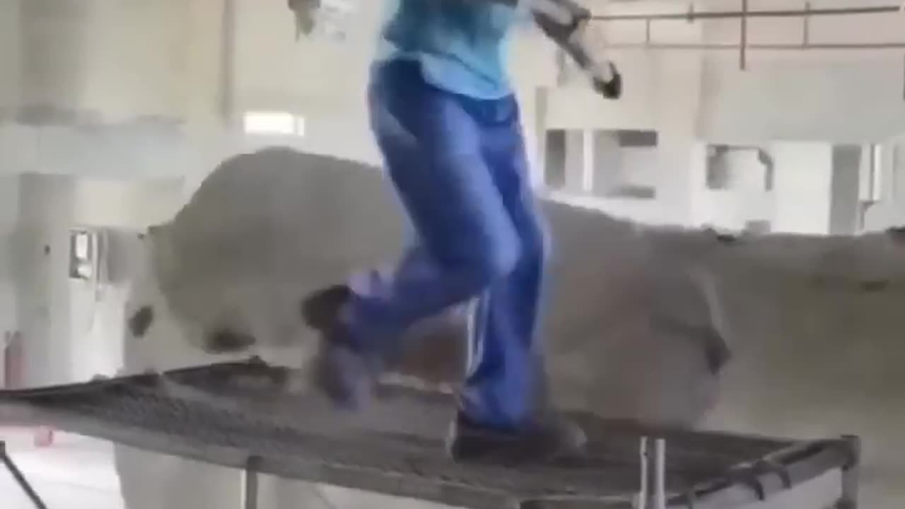 When you realize that home is a safe place😂🤣ðŸ˜ðŸŽ¬
