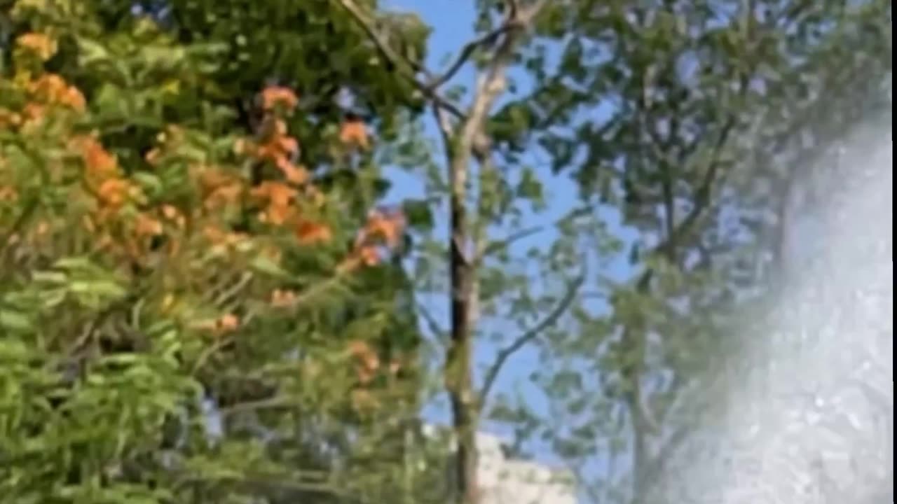 Raingun Irrigation system Save water and save Earth