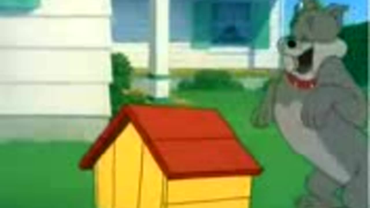 tom and jerry cartoon funny