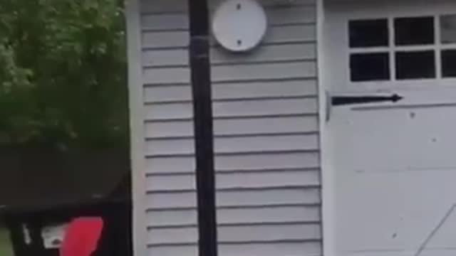 Funniest Fails