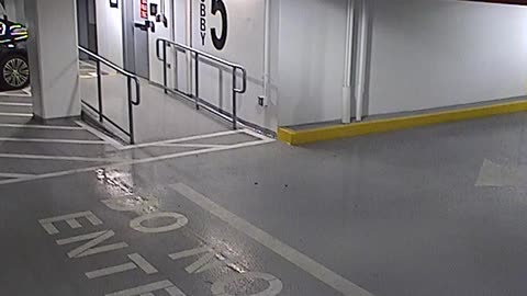 6080RHOBG3G305ANorthLobbyEntry_2021-01-05_17h00min02s653ms.mp4