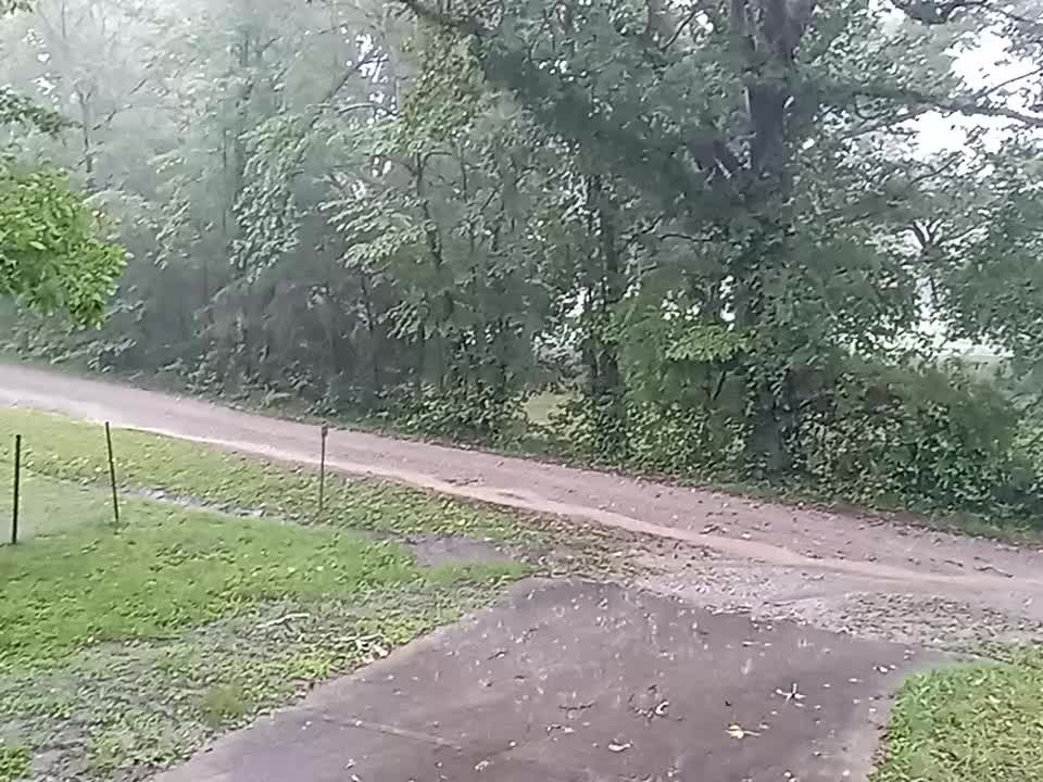 Rain and Siren