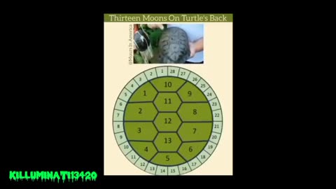 Turtle Back Calendar 13 Moon Months