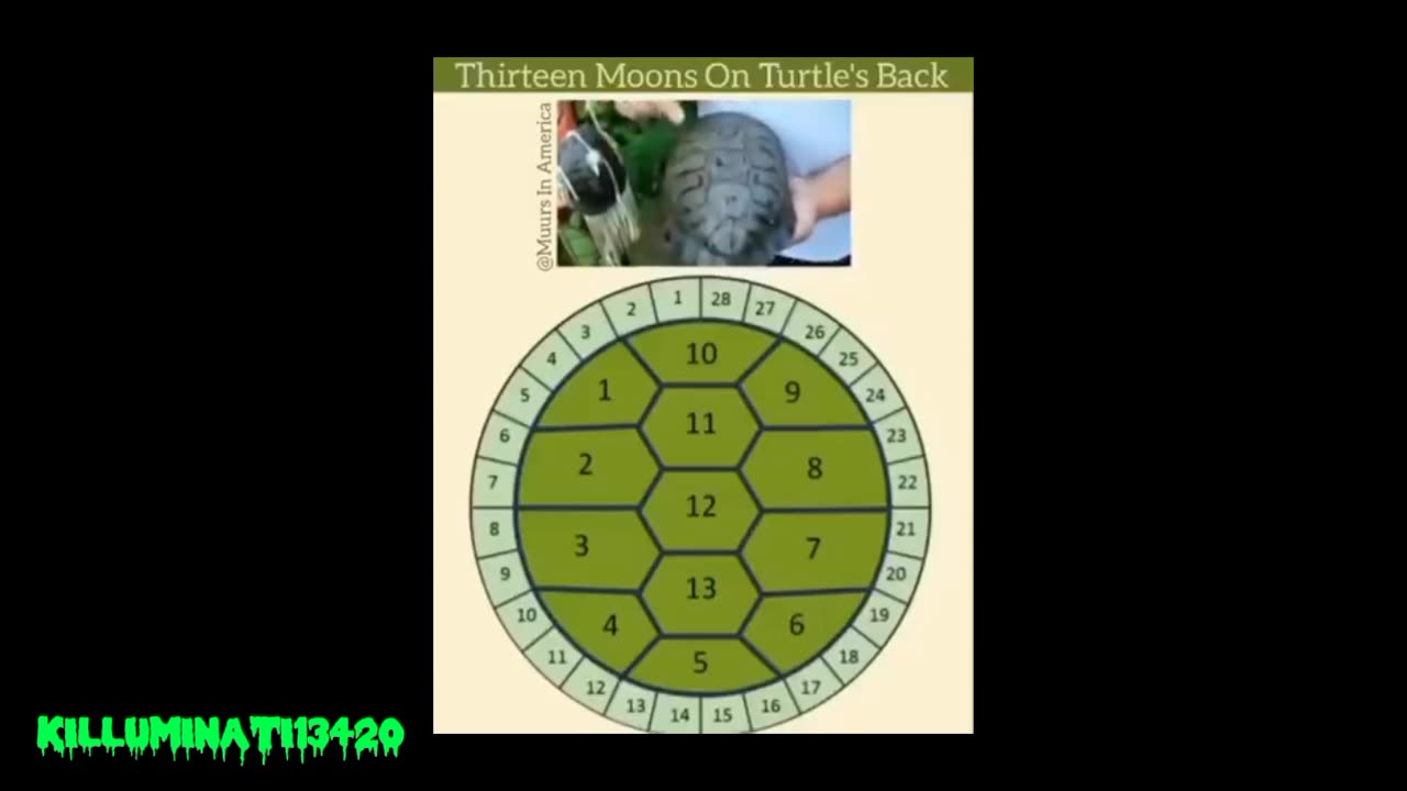 Turtle Back Calendar 13 Moon Months