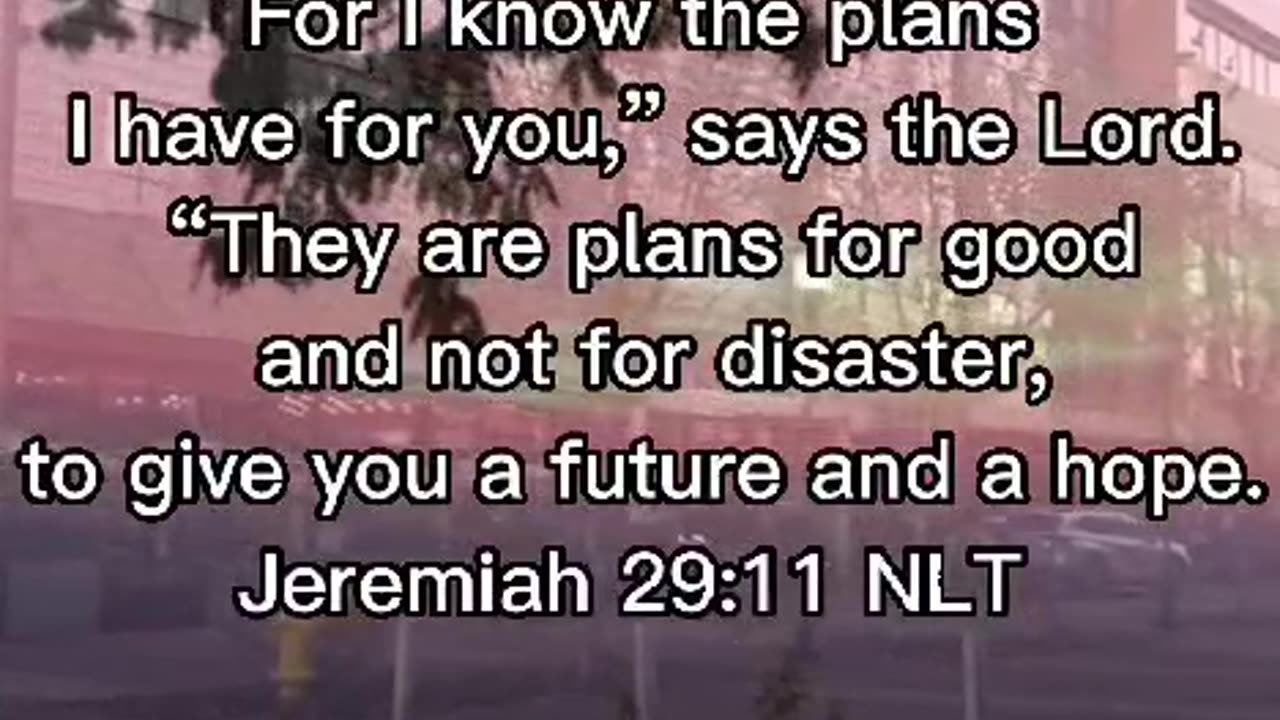 Jeremiah 29:11