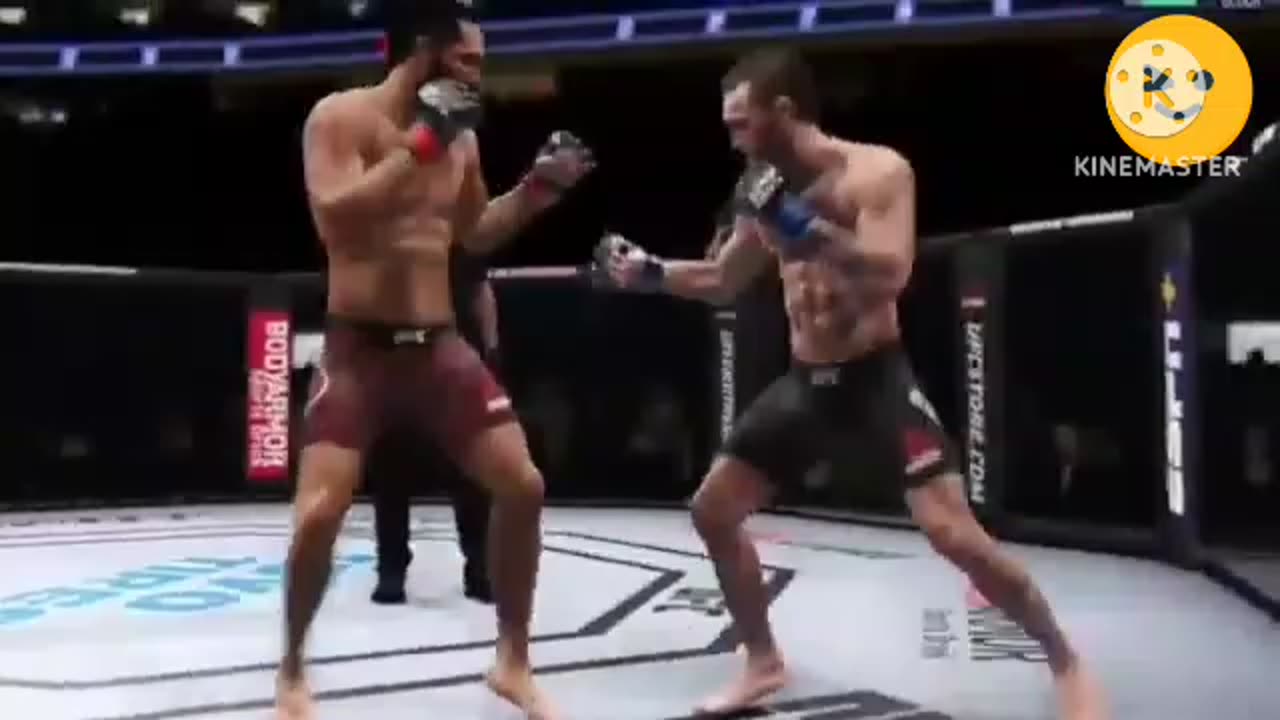 The UFC Fighter