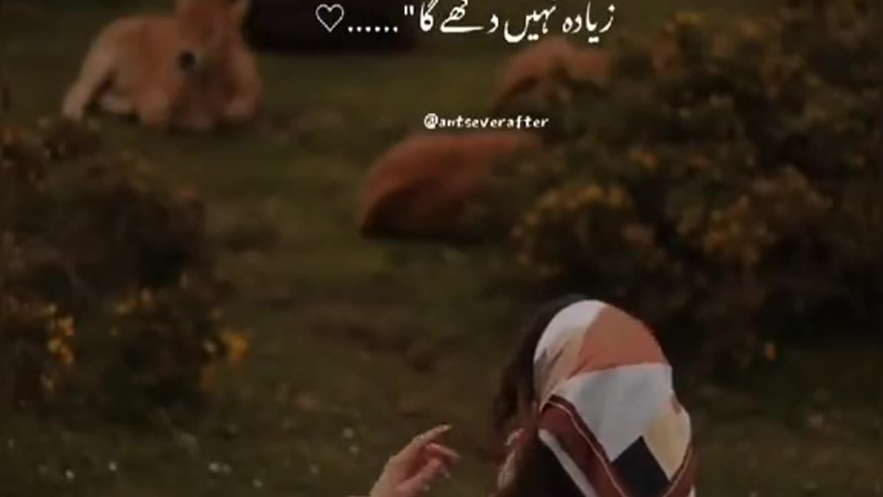 Urdu poetry