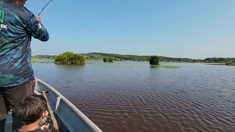 Memancing ikan haruan di tasik