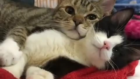 Besties
