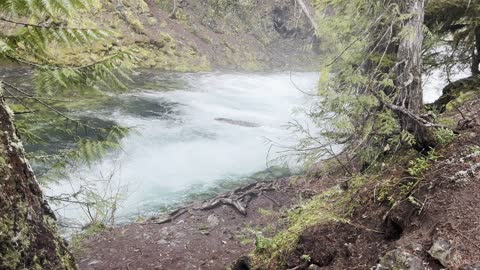 Exploring Sahalie Falls & Koosah Falls Loop – Central Oregon – 4K