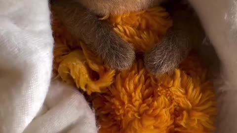 So cute🥹🥰