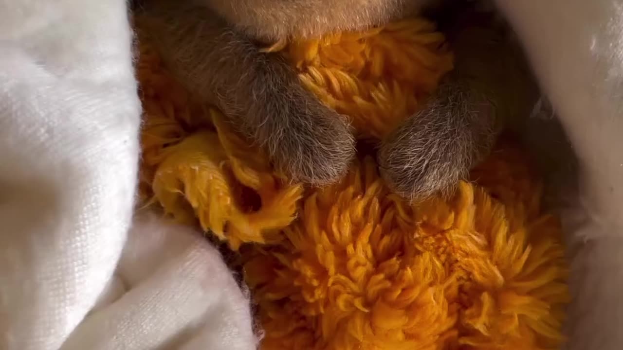 So cute🥹🥰