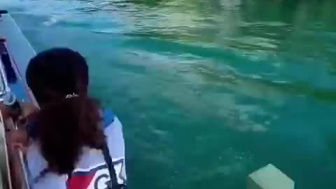 Mail delivery via boat