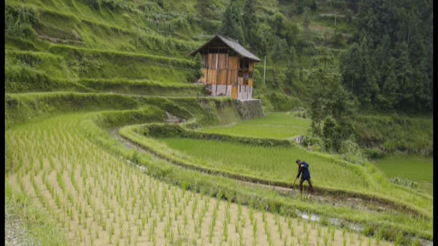 The Chinese Farmer by Alan Watts, misfortune and good fortune