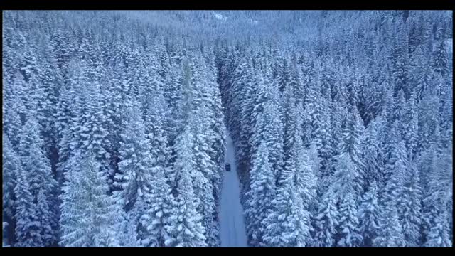 Quote | Friends don't the same things enemies do