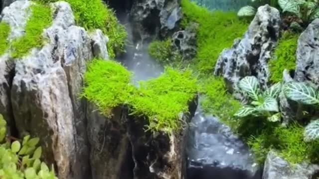 Small world
