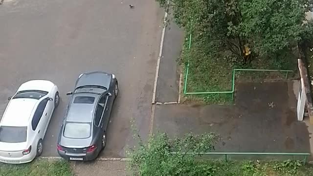 spring is one of the coldest region