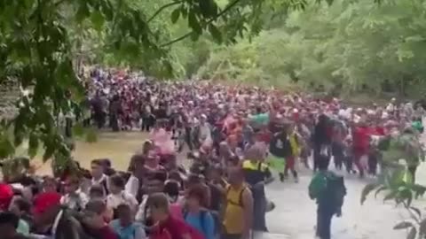 What An Invasion Looks Like