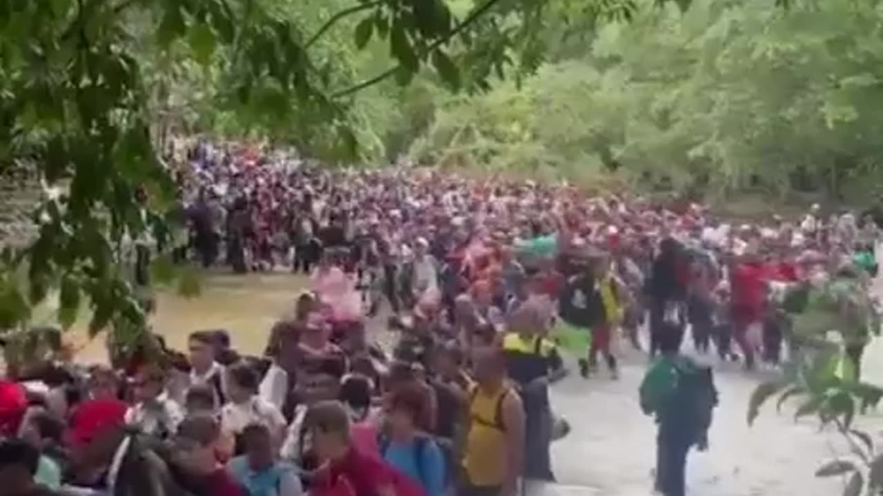 What An Invasion Looks Like
