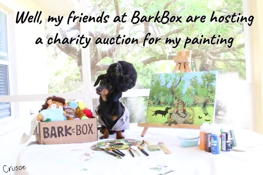 Dog Ross Returns - Paints Scenic Backyard for Charity Auction