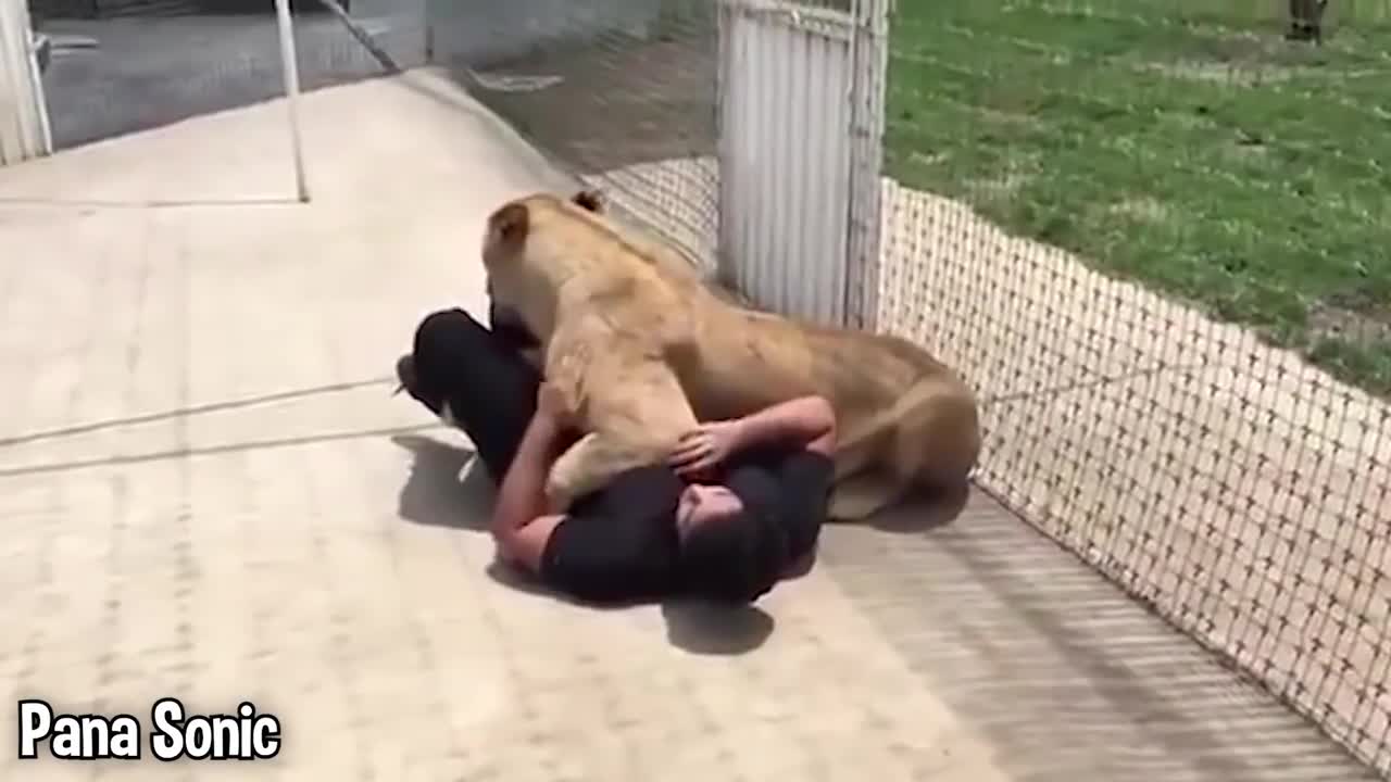 Girl Reunites With Pet Lion After 8 YEARS
