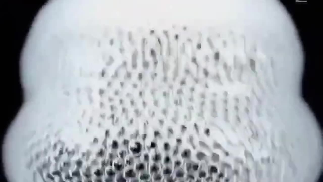 #Macrolens #voice control #Soundtrack #Ytshort #viral_Treanding #Shortvideo