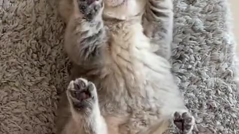 So Cute!