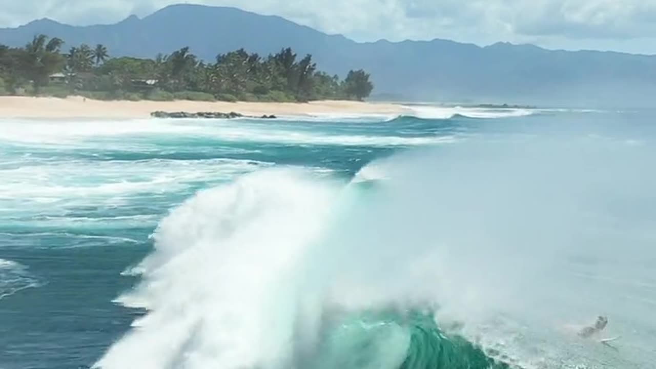 "Thrilling Moments: People Surfing on Big Waves | Epic Ocean Adventures"