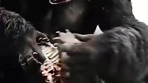 "Roaring Majesty: Exploring the Legacy of King Kong"