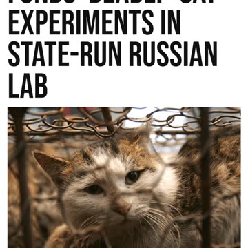 OUT OF CONTROL RESEARCH