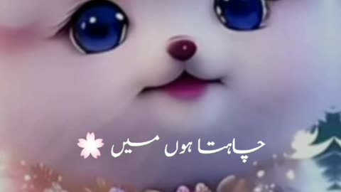 Nice Cute Picture Song 🎶😍