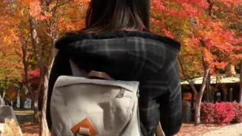 Korea Walking 4k Ultra HD - HD Video