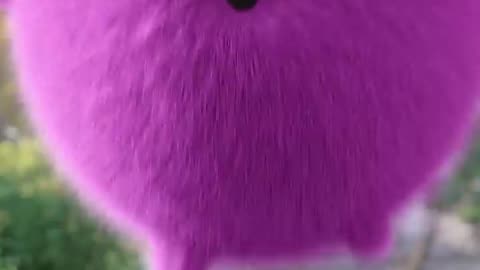 Playing hide and seek song sunny/bunny