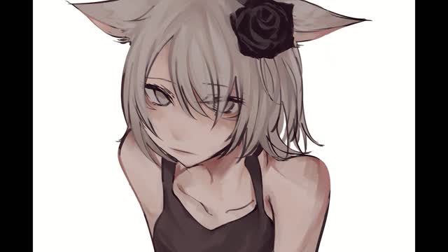 Draw a cute cat, the whole process. the sixth part.