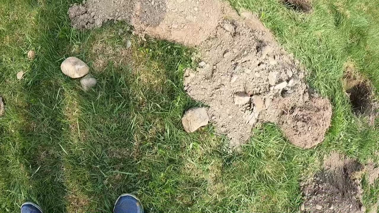 Holes for hedges