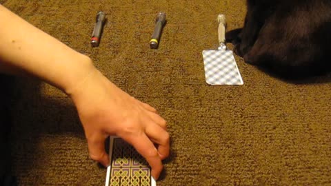 Your Narcissist’s KARMA? 😲PICK A CARD Karmic Themed Tarot Reading
