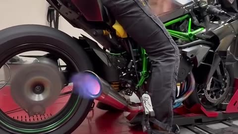 The , Ghost Rider 2024