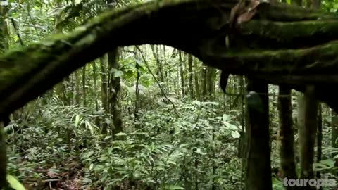 25 Greatest Natural Wonders of the World - Travel Video