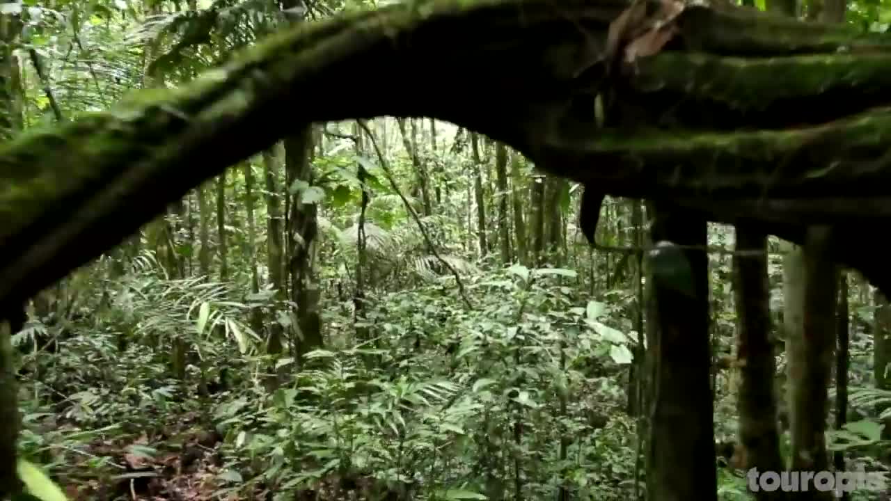 25 Greatest Natural Wonders of the World - Travel Video