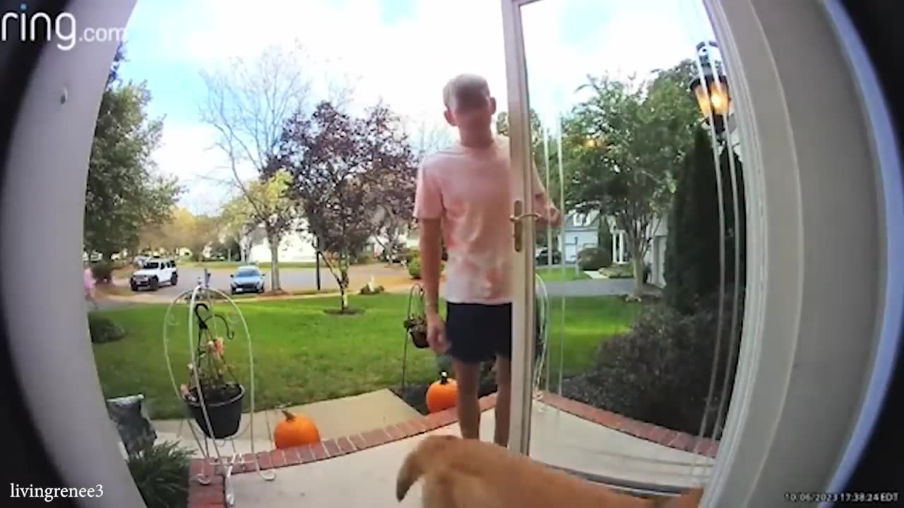 When you own a dog with an IQ 200 😲Funniest Dog Ever!
