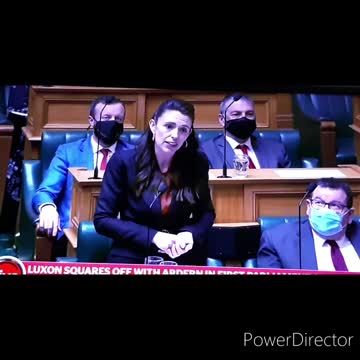 BEEHIVE Politics - New Kid on the Block