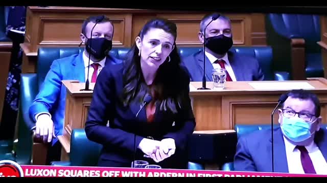 BEEHIVE Politics - New Kid on the Block