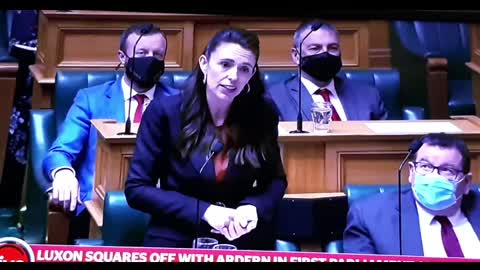 BEEHIVE Politics - New Kid on the Block