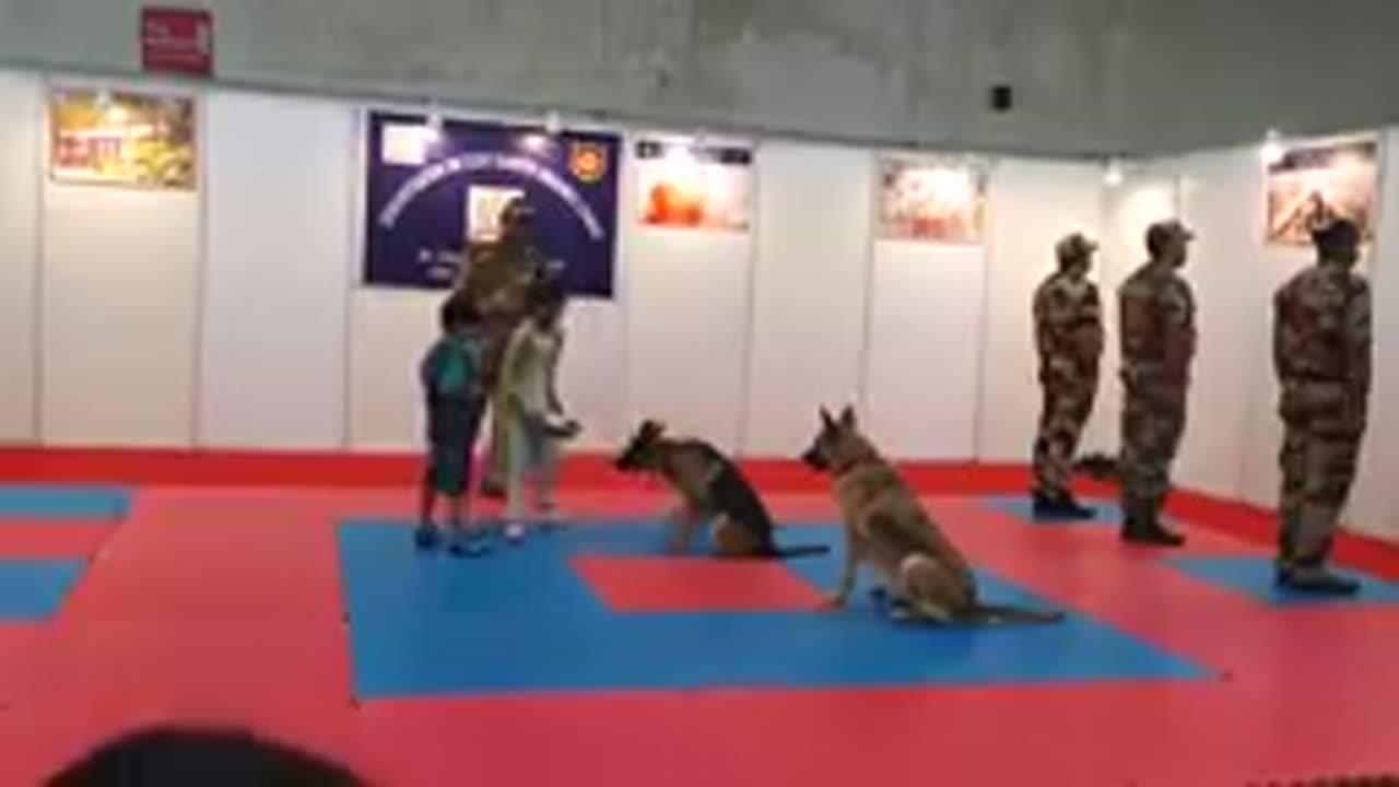 Dog training